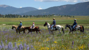 Nancy Burch’s Roadrunner Tours offers Horseback Riding Tours